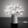 CLIZIA TABLE FUME  SLAMP Design Contemporain Caen