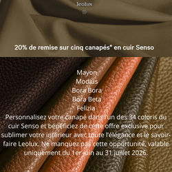 Promo Leolux 5 canap�s � -20 % en cuir Senso Design Contemporain Caen