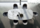 Table FIL8 Fixe shaped Ozzio Design contemporain Caen