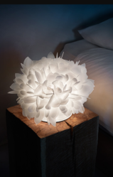 VELI TABLE FOLIAGE DIAM 32  SLAMP Design Contemporain Caen