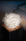VELI TABLE FOLIAGE DIAM 32  SLAMP Design Contemporain Caen