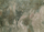 Tapis GREEN Mousse Serge Lesage Design contemporain Caen