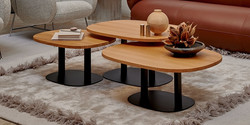Table basse TOVERI Leolux Design Contemporain Caen