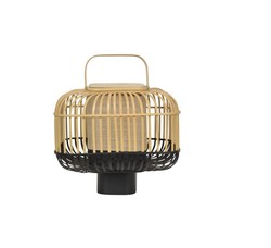 Bamboo  poser  Square Forestier Design Contemporain Caen