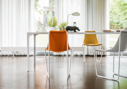 Chaise et fauteuil APELLE Midj Design Contemporain Caen