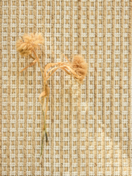 Tissa Tapis Serge Lesage Design contemporain Caen