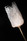 Lampe nomade TULIP Slamp Design contemporain Caen