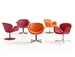 Tulip midi Artifort Design contemporain Caen
