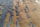 USED  TAPIS SERGE LESAGE Design Contemporain Caen